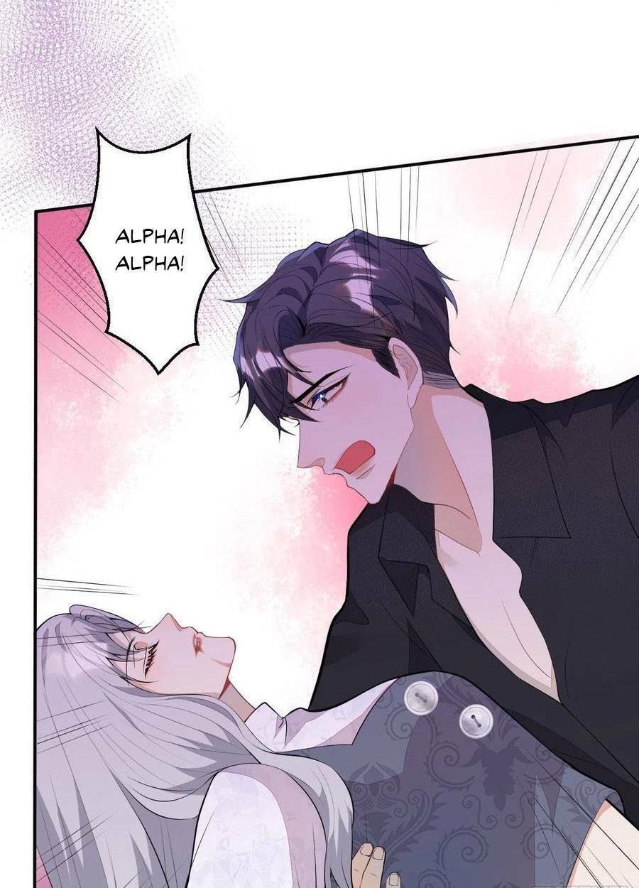 Hiratsu Cute, Shizu Cute!: Chapter 53
