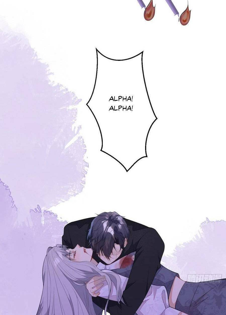 Hiratsu Cute, Shizu Cute!: Chapter 53
