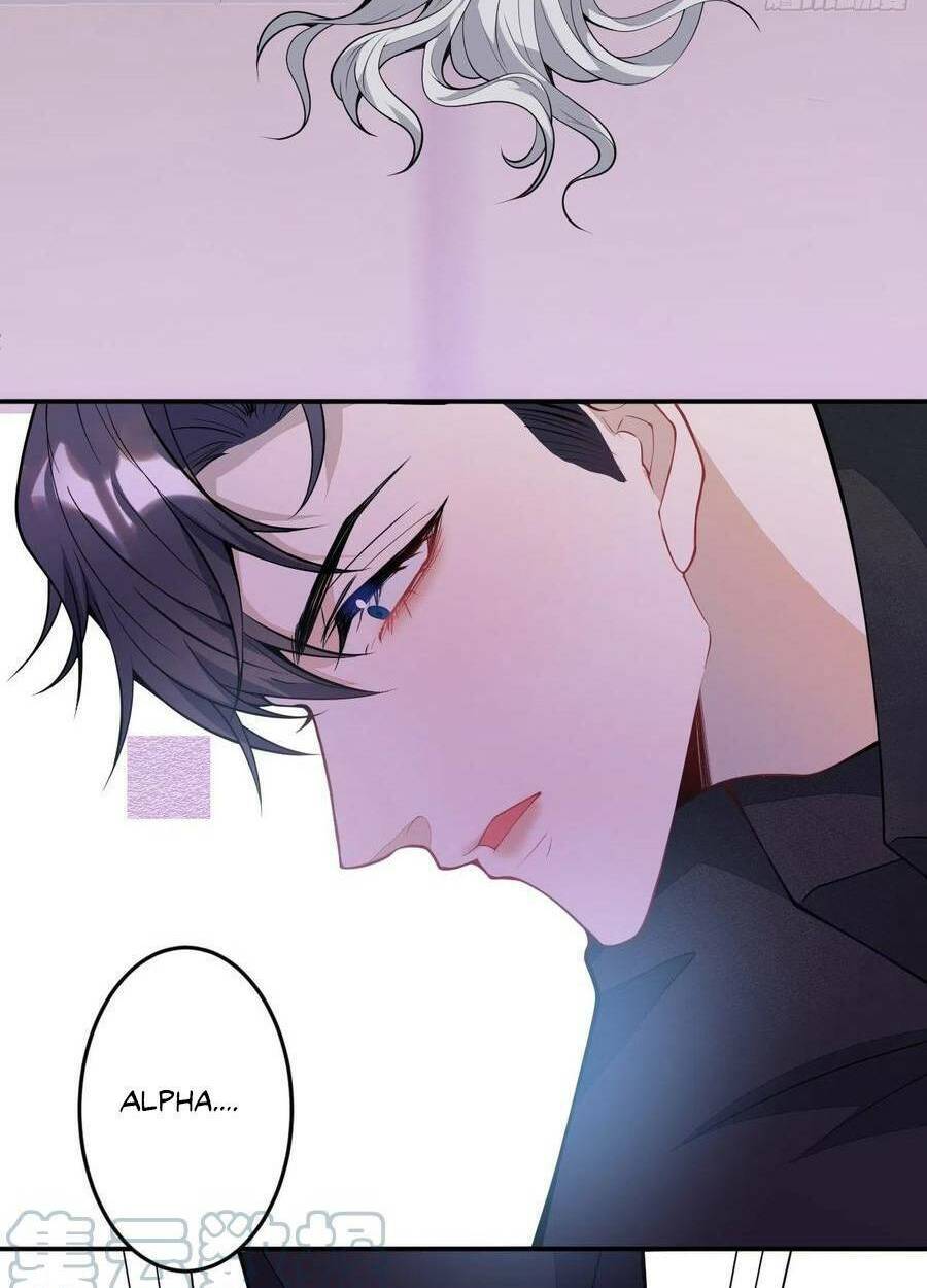 Hiratsu Cute, Shizu Cute!: Chapter 54