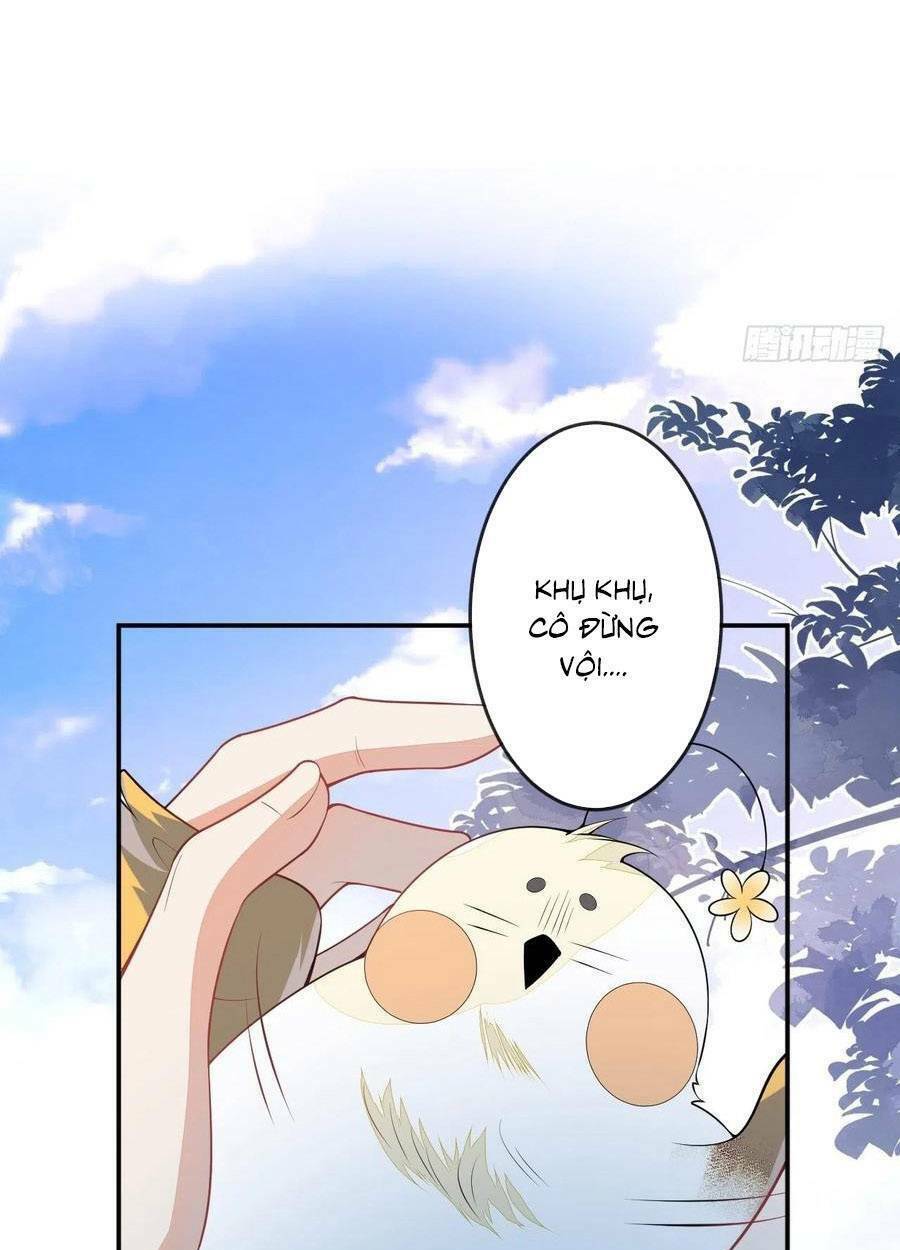 Hiratsu Cute, Shizu Cute!: Chapter 55
