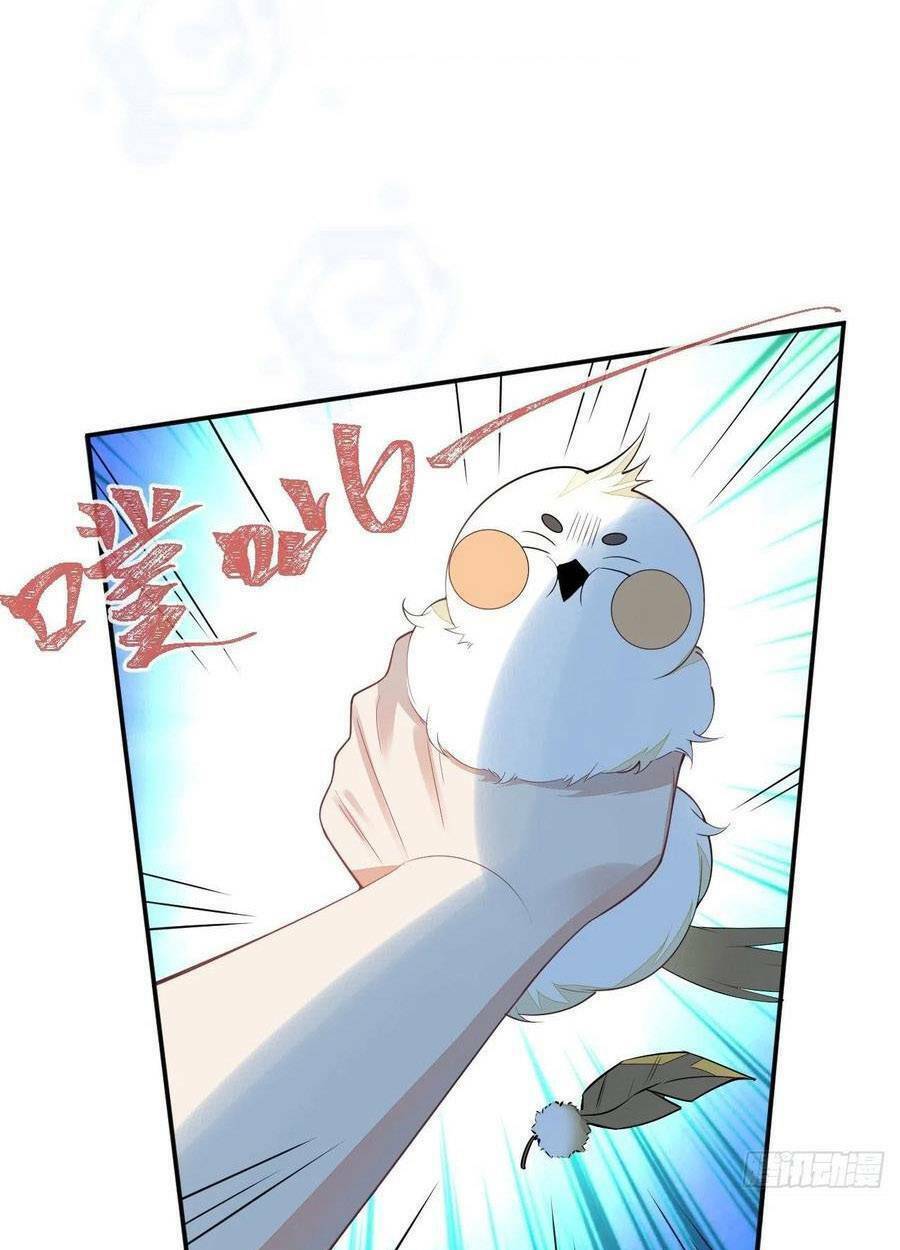 Hiratsu Cute, Shizu Cute!: Chapter 55