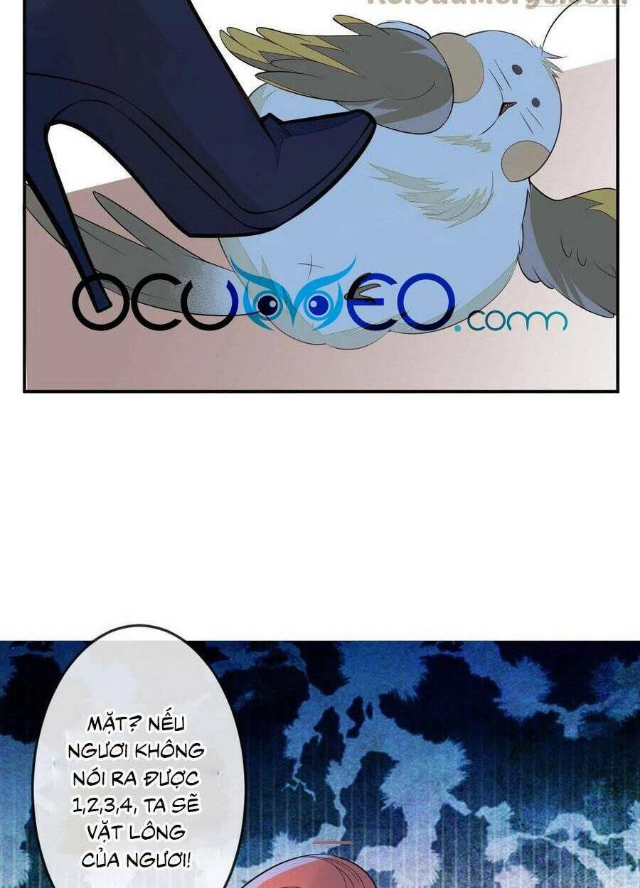 Hiratsu Cute, Shizu Cute!: Chapter 55