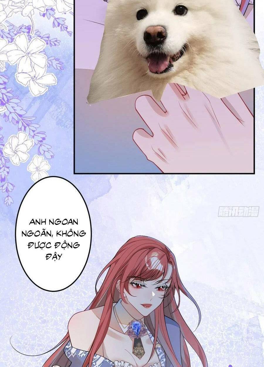 Hiratsu Cute, Shizu Cute!: Chapter 57