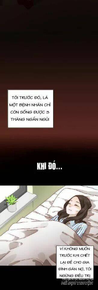 Xuyên Vào Tiểu Thuyết - Nữ Phụ Muốn Sống!: Chapter 3